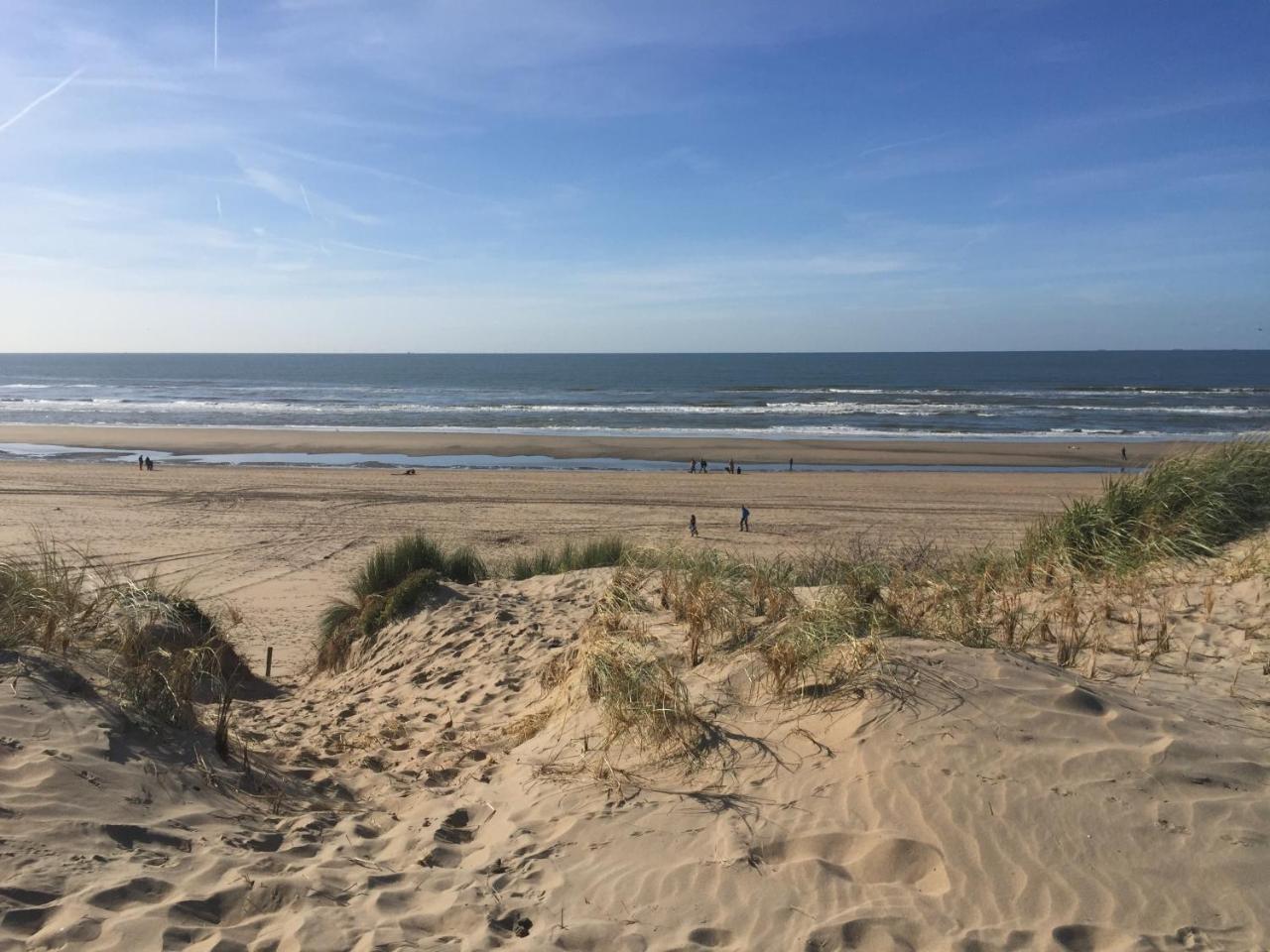 Duynsandt Zandvoort Zewnętrze zdjęcie